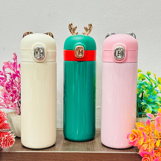 Insulated Stainless Steel Bottle