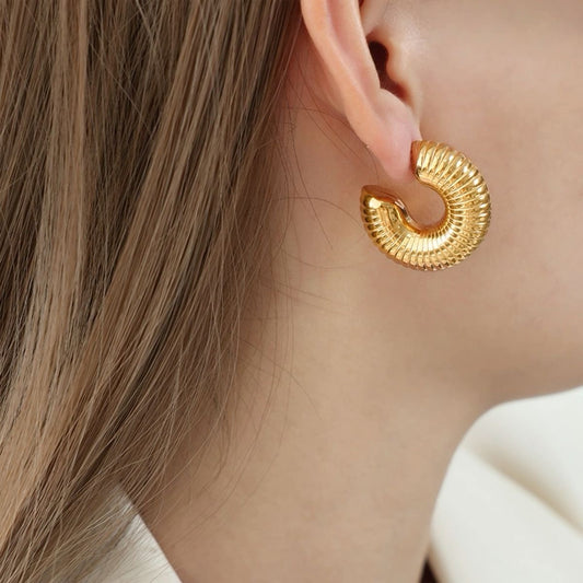 Silver & Golden Hoop Earrings