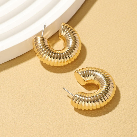 Silver & Golden Hoop Earrings